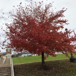 Meet your Posher, Nadine